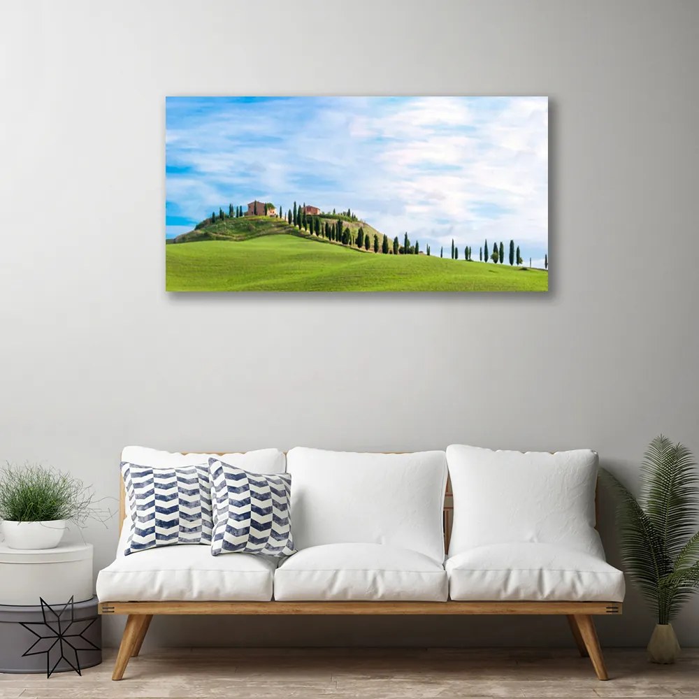 Obraz Canvas Lúka stromy príroda 125x50 cm