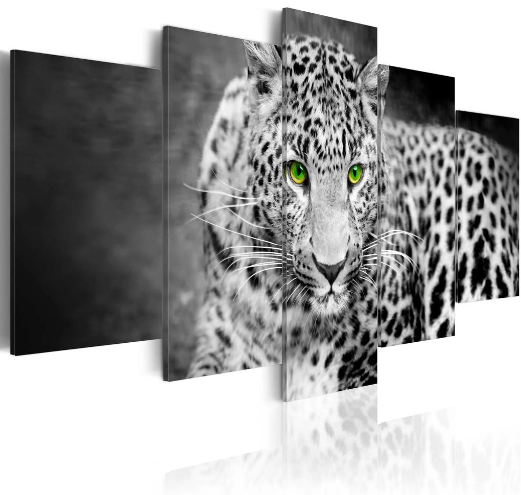 Artgeist Obraz - Leopard - black&white Veľkosť: 100x50, Verzia: Premium Print