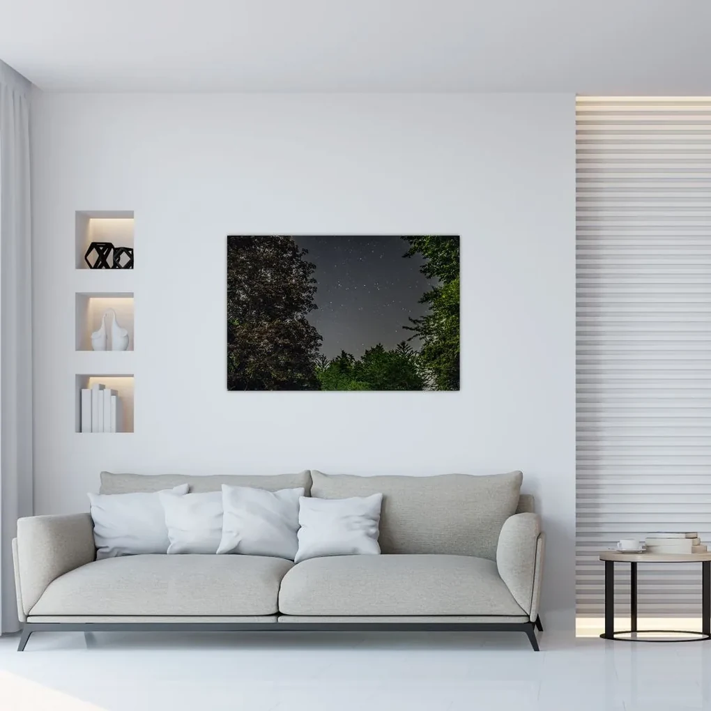 Obraz nočnej oblohy (90x60 cm)