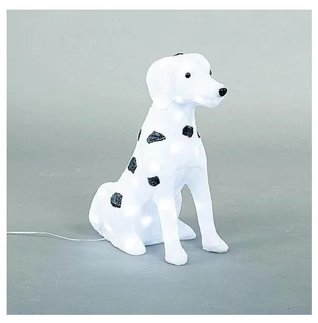 LED vonkajšia dekorácia LED/3,6W/230V IP44 studená biela dalmatín