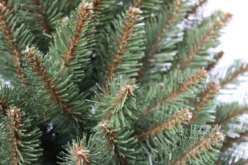 Evergreen Vianočný stromček - horský smrek - 180 cm