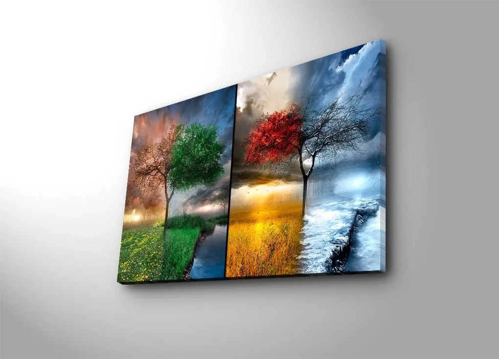 Obraz SEASONS 45x70 cm viacfarebný