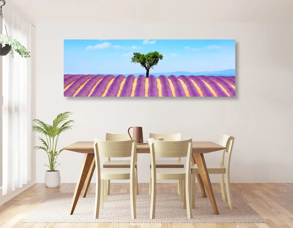 Obraz provensálske levanduľové pole Varianta: 120x40