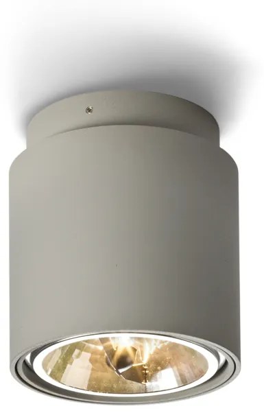 RENDL R10162 EX prisadené svietidlo, downlight striebornosivá