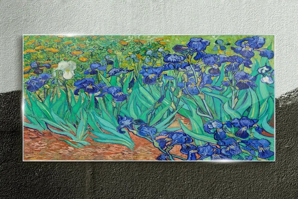 Obraz na skle Van gogh dúhovky