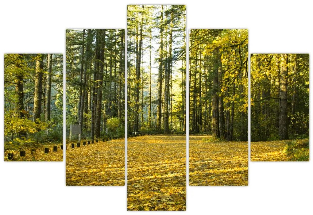 Obraz - les v jeseni (150x105 cm)