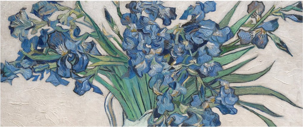 Obraz - Vincent van Gogh, Irises, reprodukcia (120x50 cm)