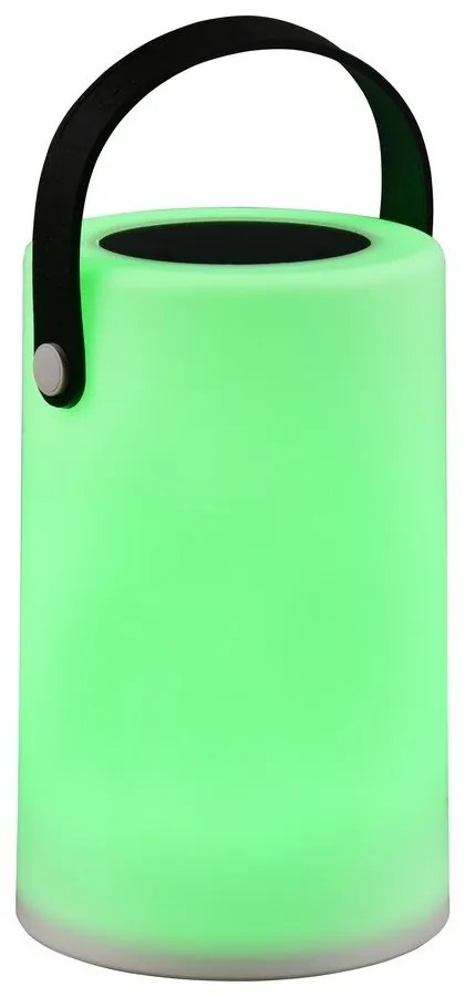 LED solárne vonkajšie svietidlo (výška 21 cm) Garcia – Trio