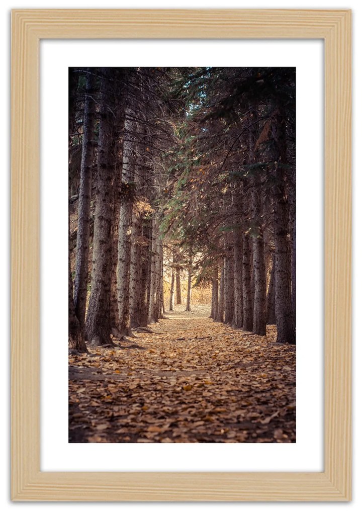 Gario Plagát Les na jeseň Farba rámu: Bez rámu, Rozmery: 30 x 45 cm