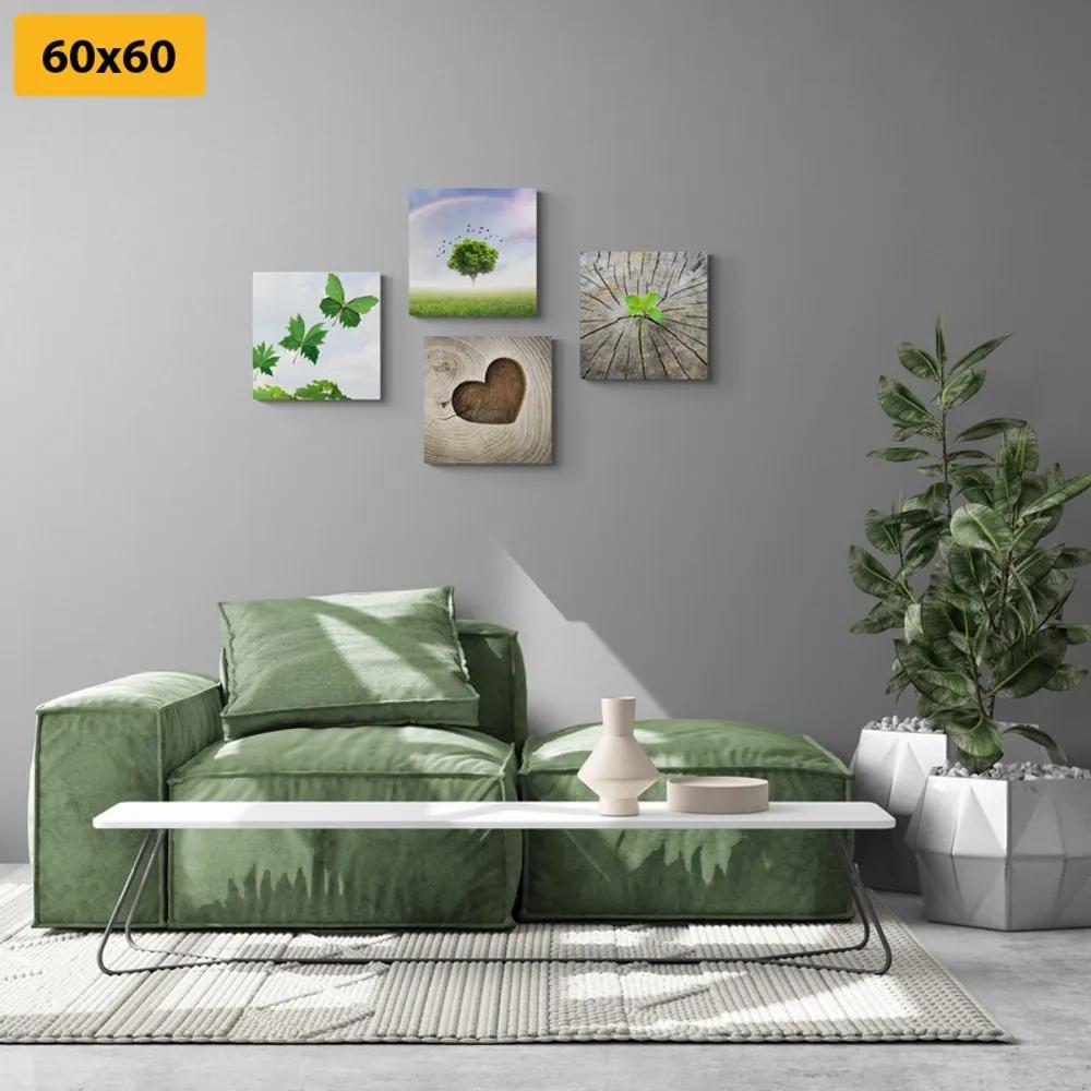Set obrazov jedinečné zákutia prírody - 4x 60x60