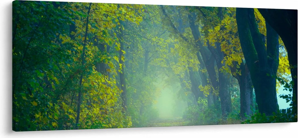 Obraz cesty lemovanej stromami (120x50 cm)