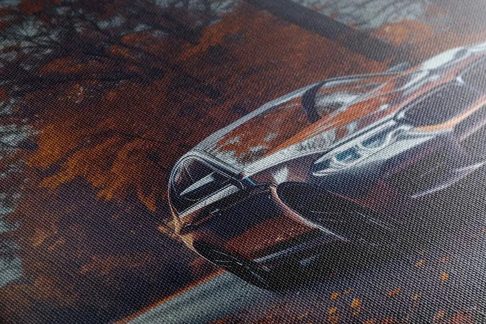 Obraz BMW v splne mesiaca