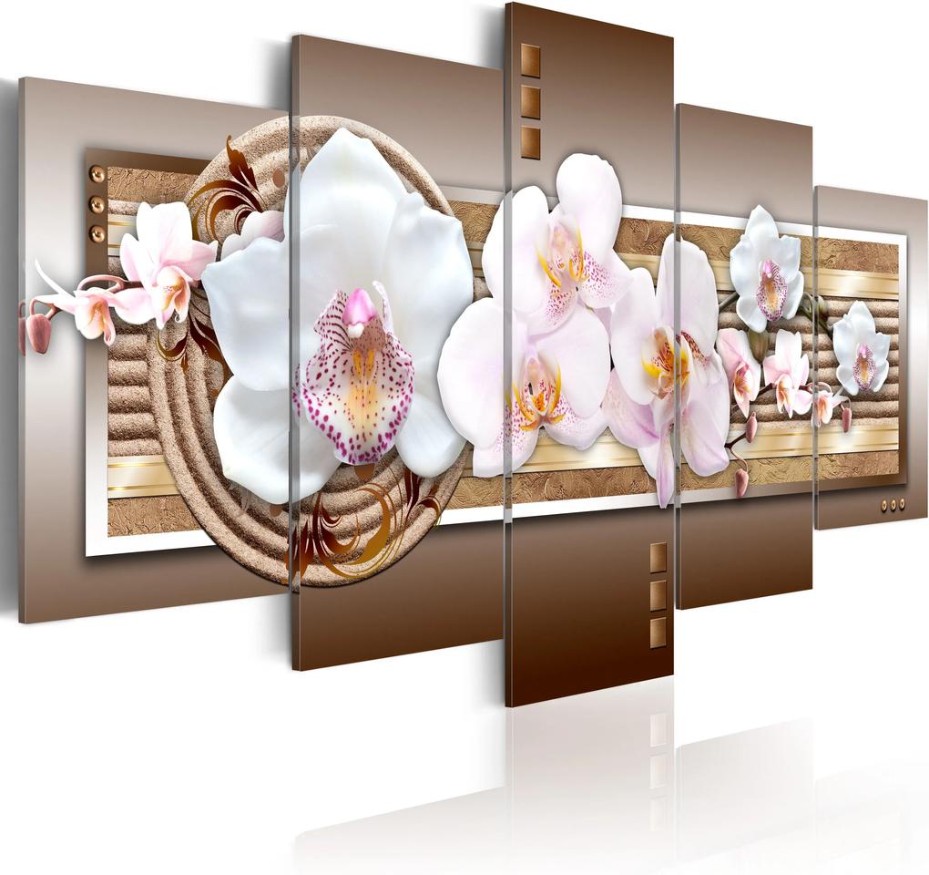 Obraz - Sensitivity of orchid 100x50