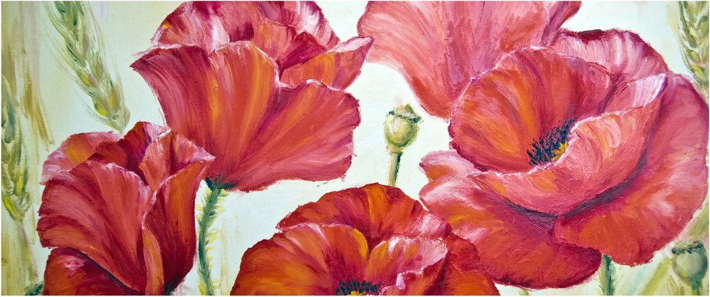 Obraz - Kvety vlčích makov (120x50 cm)