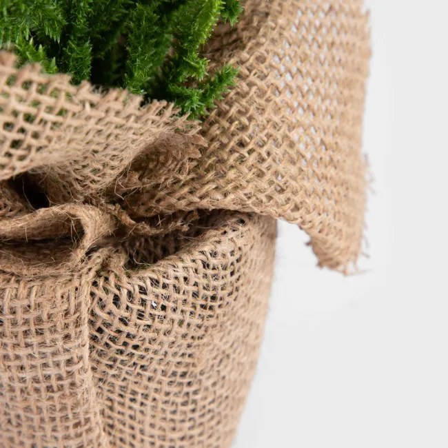 Vianočný stromček HECTOR zelený 714450