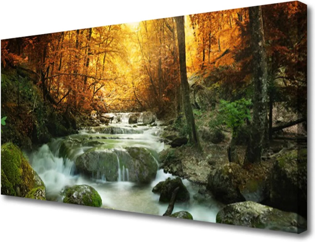 Obraz Canvas Vodopád Príroda Les Jeseň