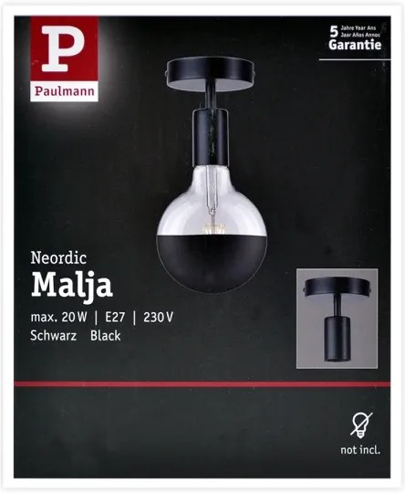 Paulmann 79760 - Stropné svietidlo HALDOR 1xE27/20W/230V