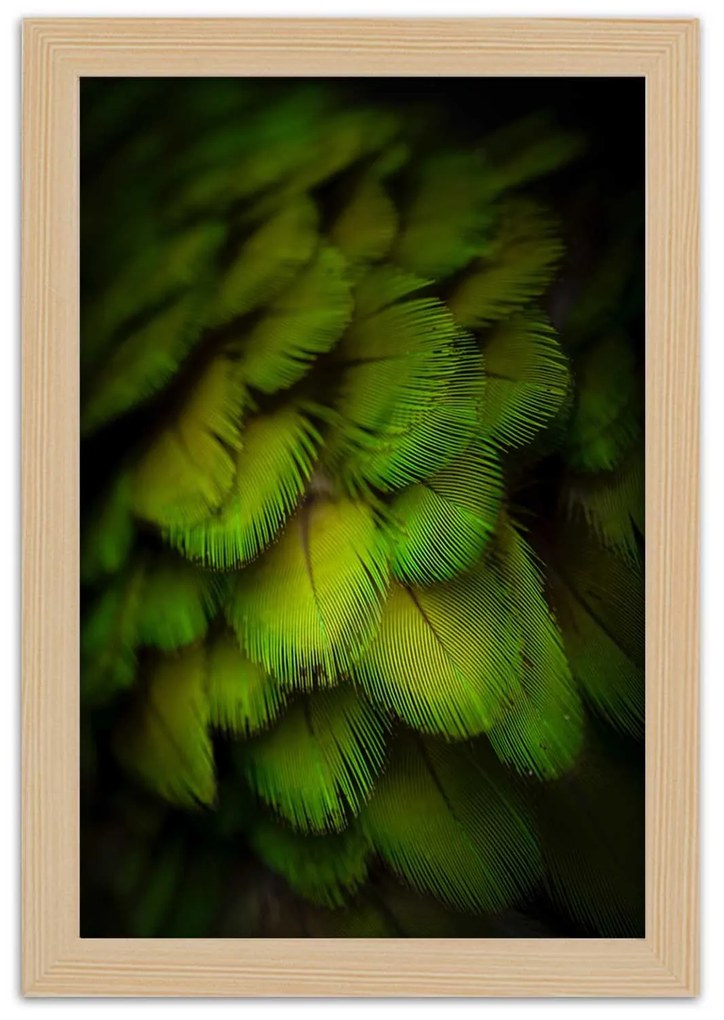 Gario Plagát Abstrakt zo zeleného peria Farba rámu: Čierna, Rozmery: 70 x 100 cm