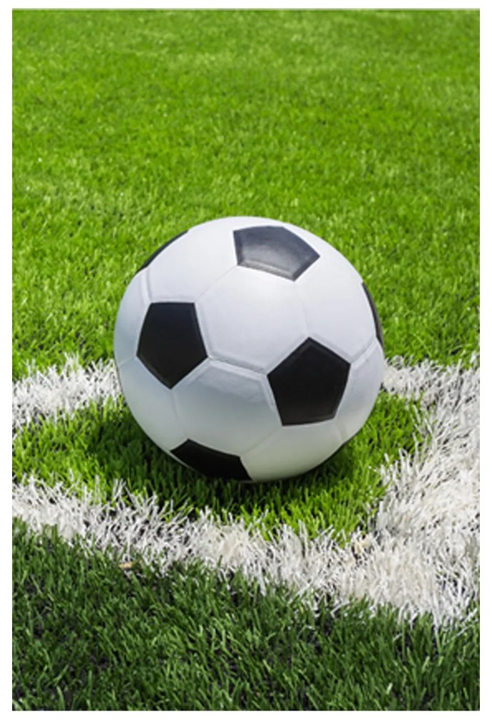 DETSKÁ FLEECOVÁ DEKA FOOTBALL 100X150 CM VZOROVANÁ