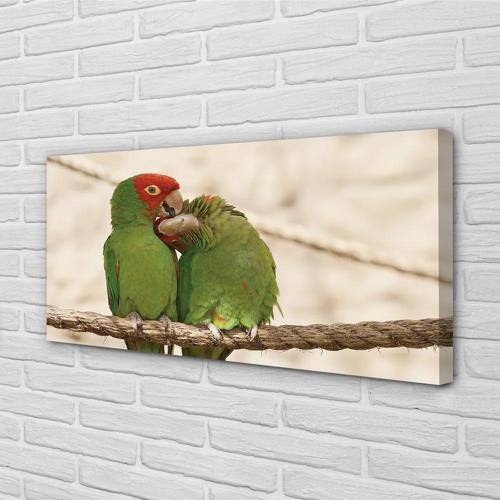 Obraz na plátne zelené papagáje 125x50 cm