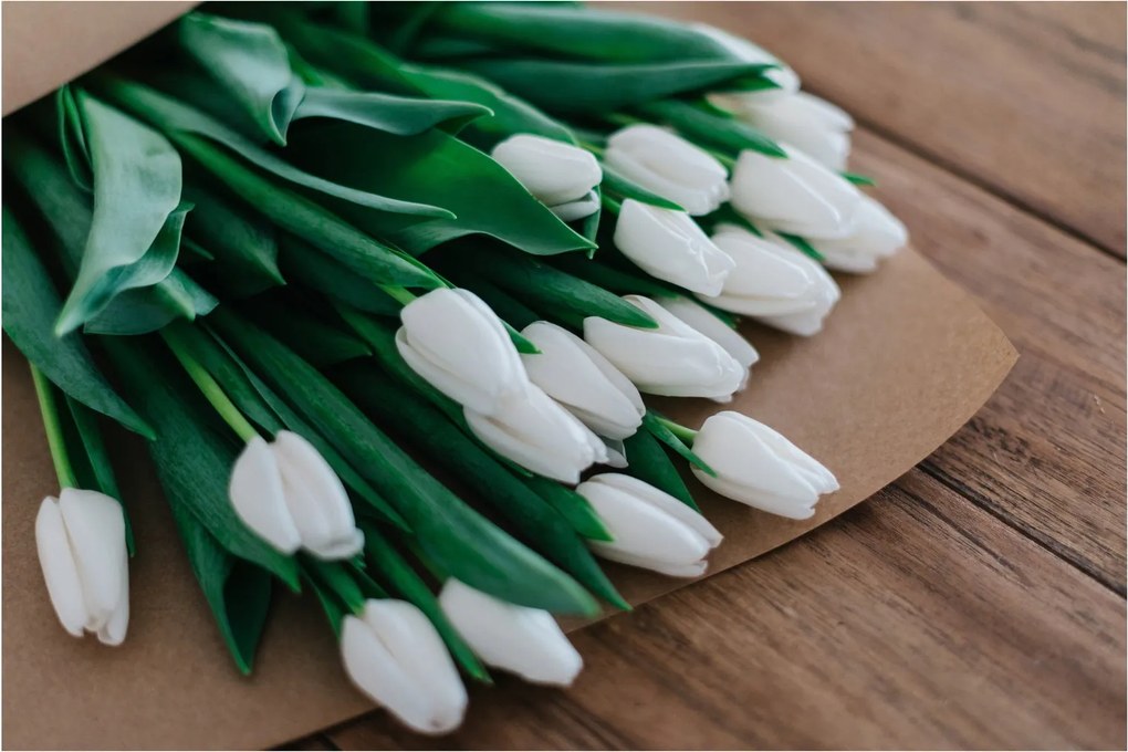 Obraz kytice bielych tulipánov (90x60 cm)