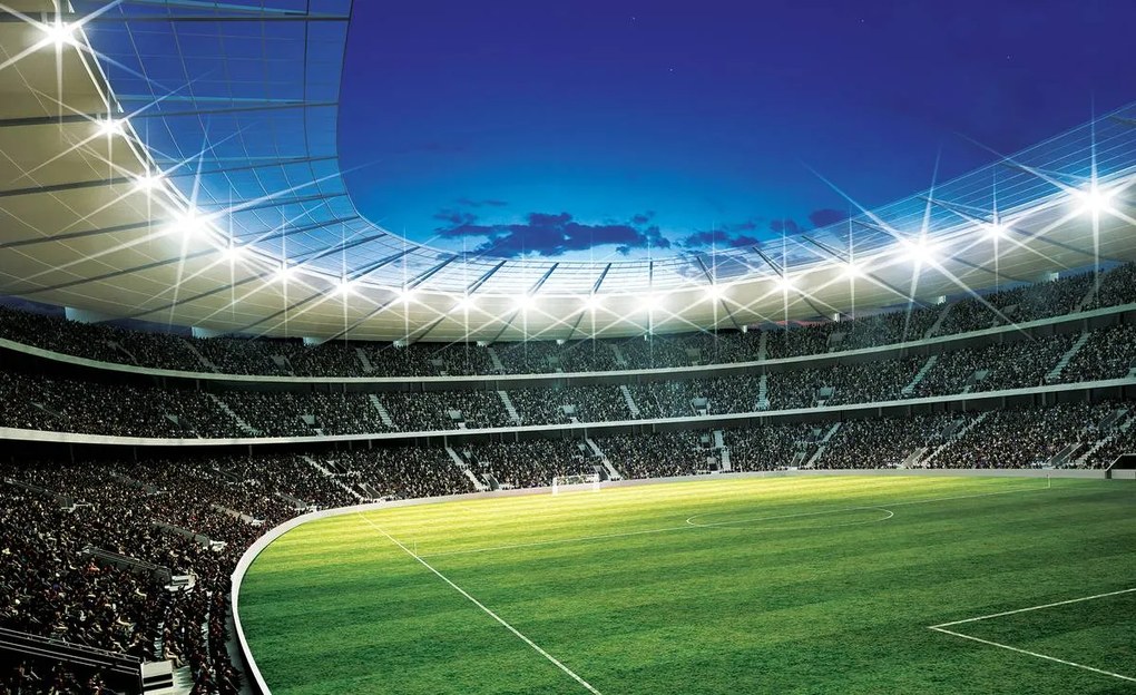 Fototapeta - Futbal (254x184 cm)