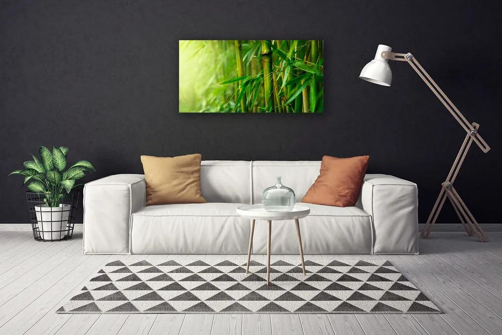 Obraz na plátne Bambus stonky rastlina 120x60 cm