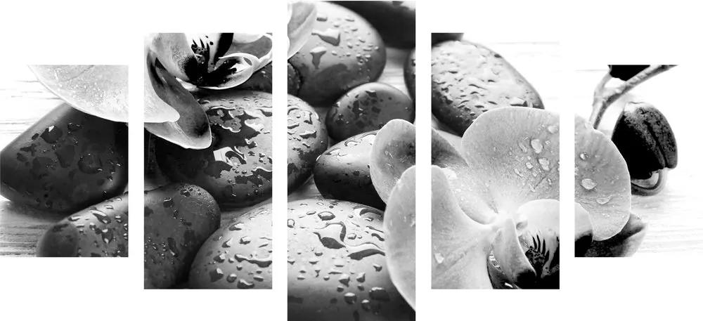 5-dielny obraz krásna súhra kameňov a orchidey v čiernobielom prevedení - 200x100