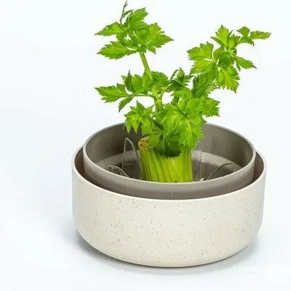 Plastia Regrow, slonová kosť