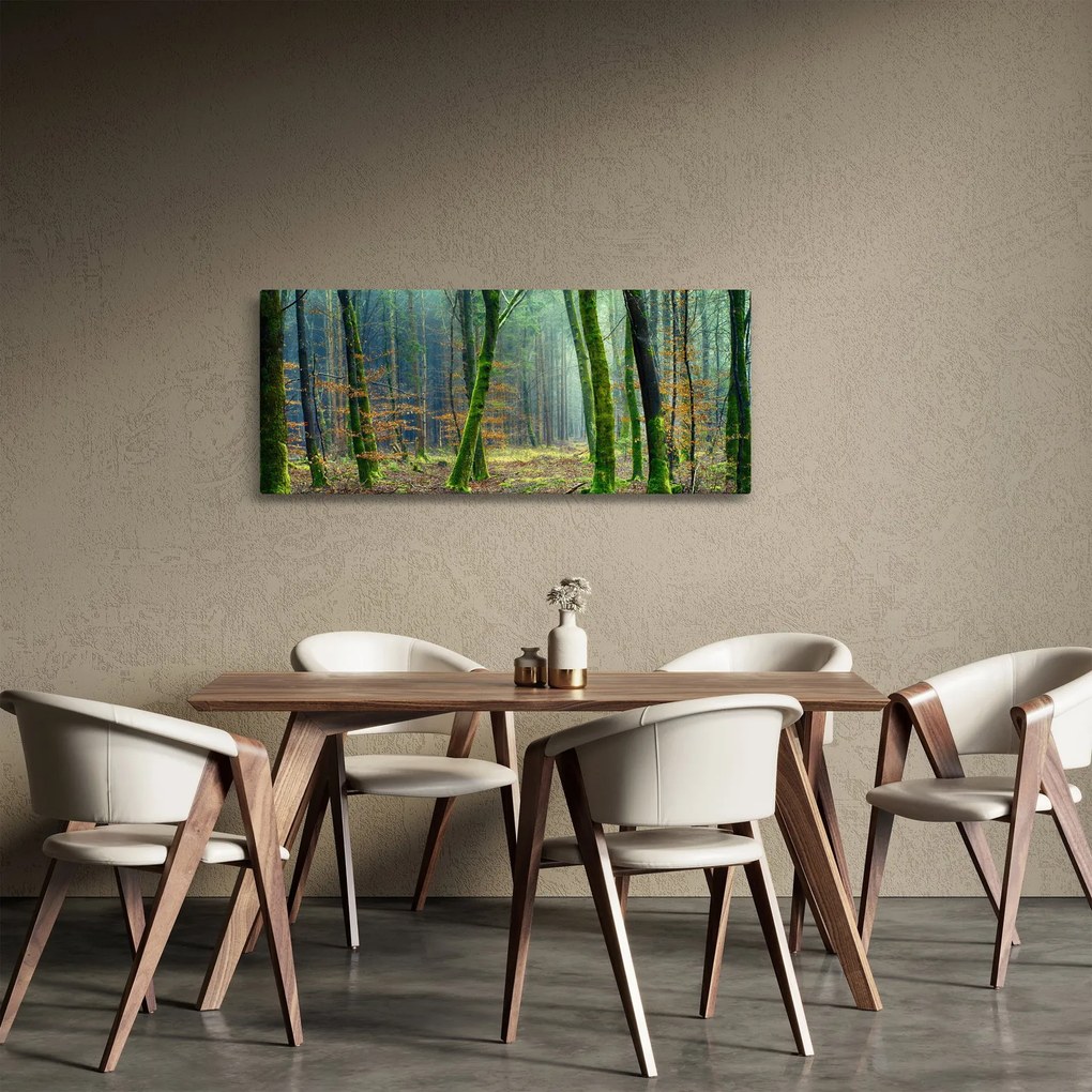Obraz lesa (120x50 cm)