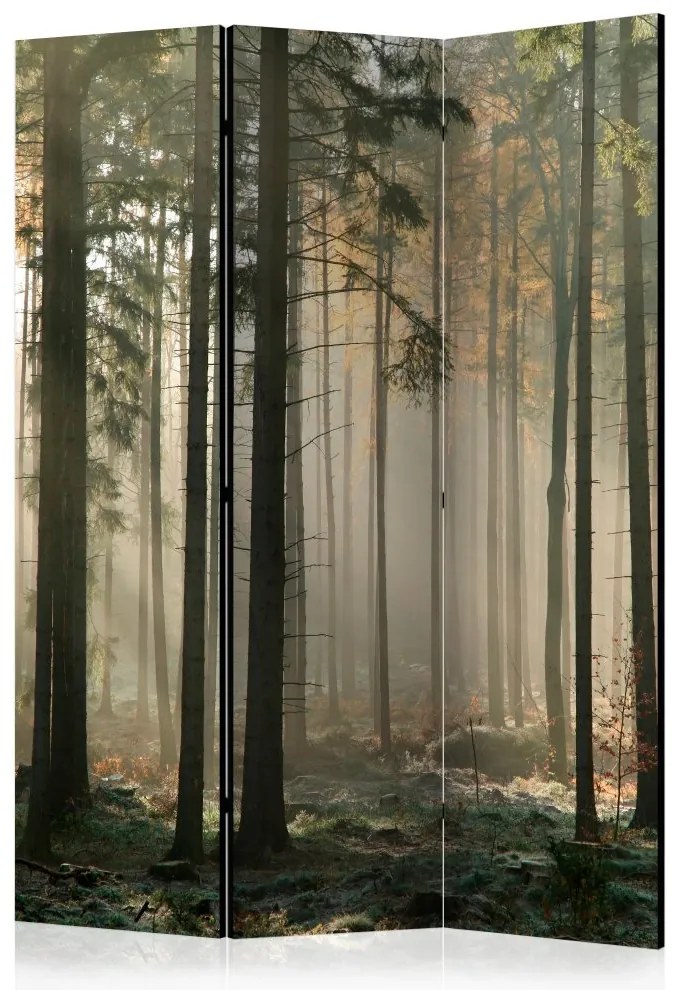 Artgeist Paraván - Foggy November morning [Room Dividers]