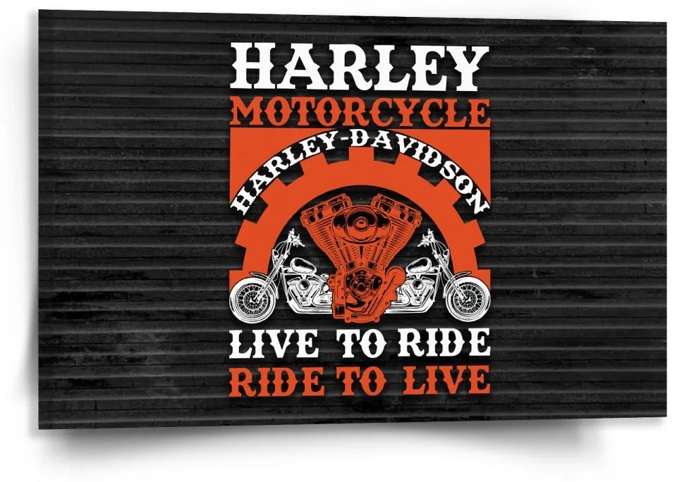 Sablio Obraz Harley-Davidson Live to ride, ride to live - 120x80 cm