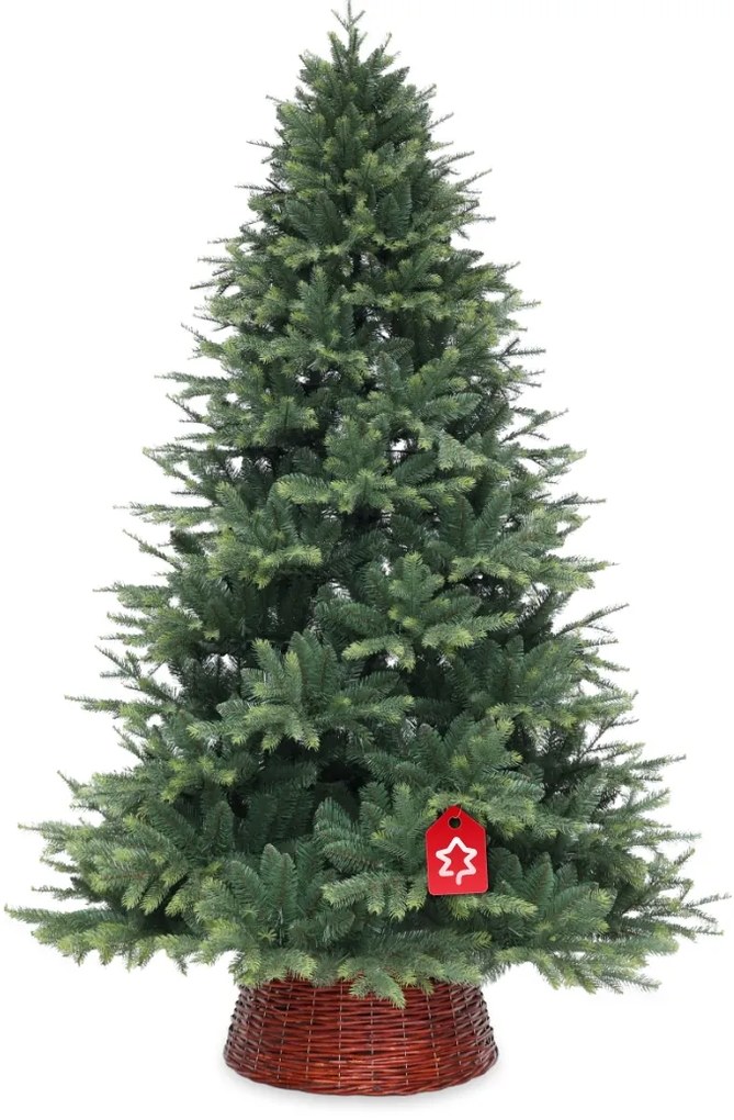 Smrek Himalájsky 150 cm