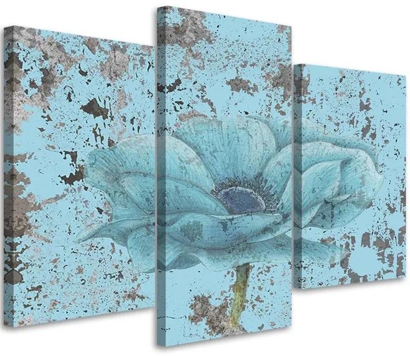 Gario Obraz na plátne Morský kvet retro - 3 dielny Rozmery: 60 x 40 cm