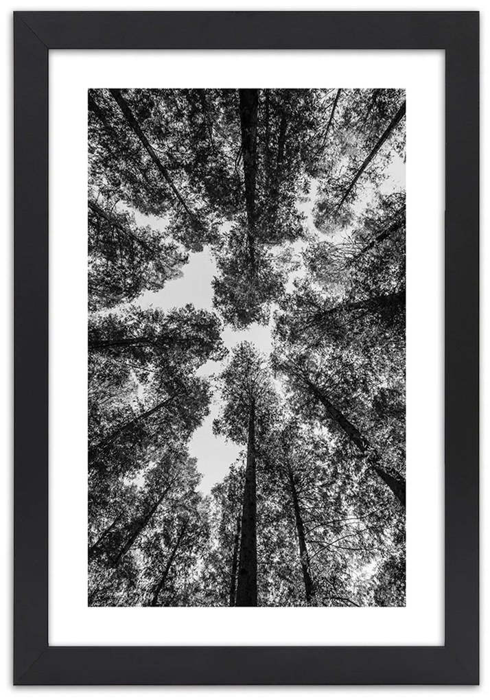 Gario Plagát Koruny stromov Farba rámu: Bez rámu, Rozmery: 30 x 45 cm