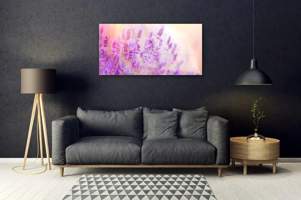 Skleneny obraz Levanduľovej pole slnko kvety 100x50 cm