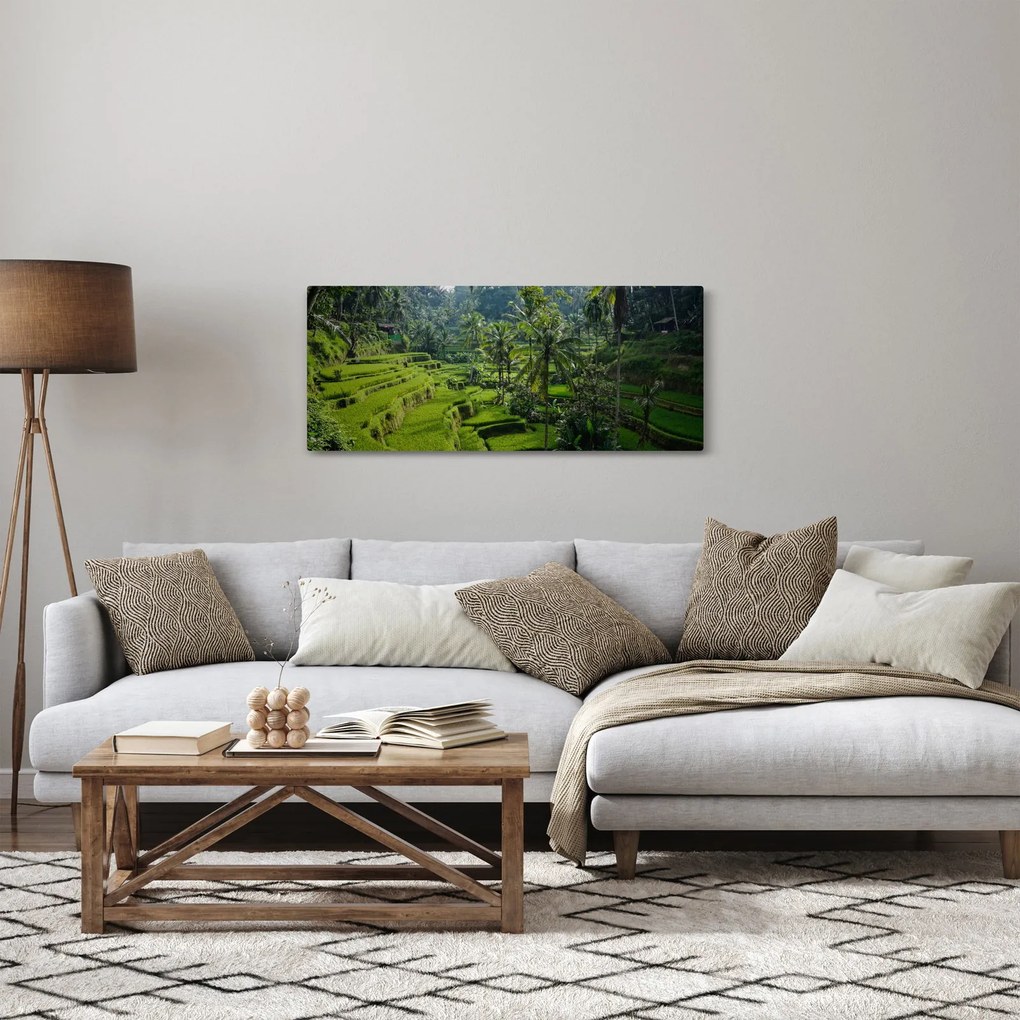 Obraz ryžových terás Tegalalang, Bali (120x50 cm)