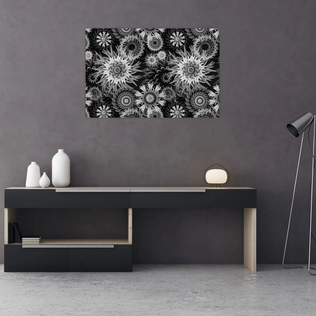 Obraz - Čiernobiele bodliaky (90x60 cm)