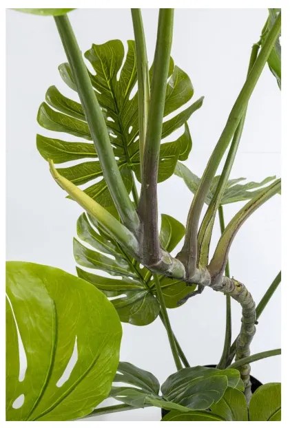 KARE DESIGN Dekoratívna rastlina Monstera 110 cm 110 × 50 × 40 cm