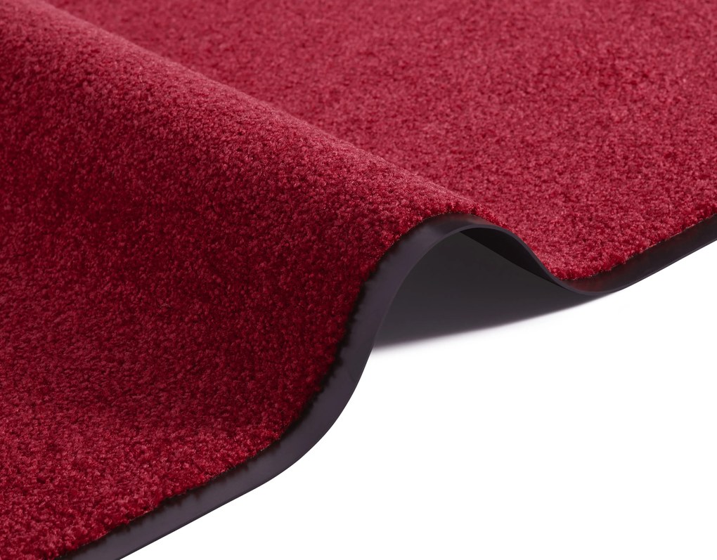 Hanse Home Collection koberce Rohožka Wash & Clean 101466 Bordeaux - 40x60 cm