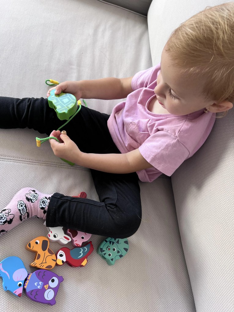 Vilac – Prevliekanie – domáce zvieratá