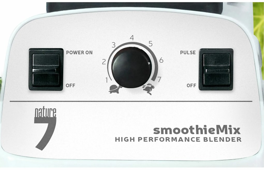 Mixér smoothieMix multifunkčný 1200W, SM12W, Nature7