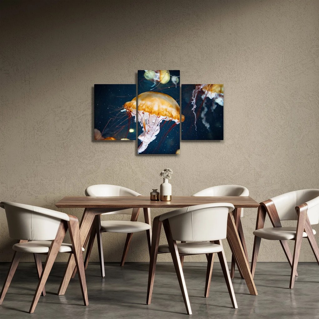 Obraz medúzy (90x60 cm)