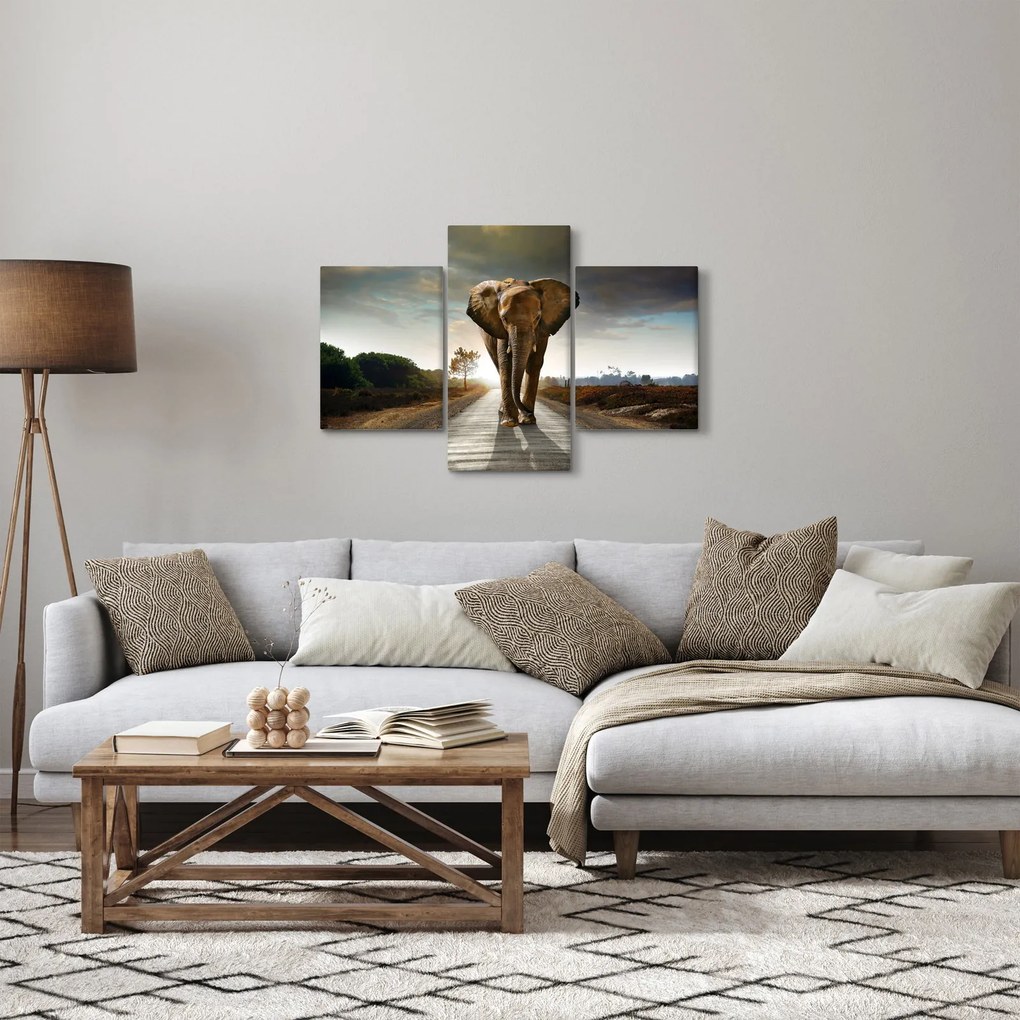 Obraz slona (90x60 cm)