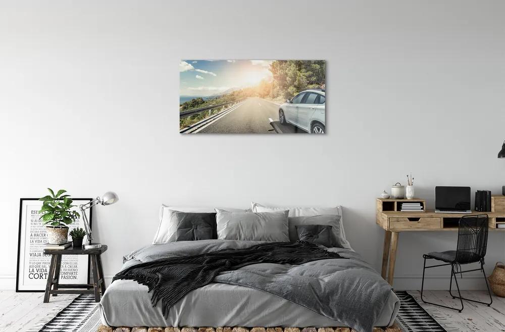 Obraz plexi Hory mraky auto cesty strom 100x50 cm
