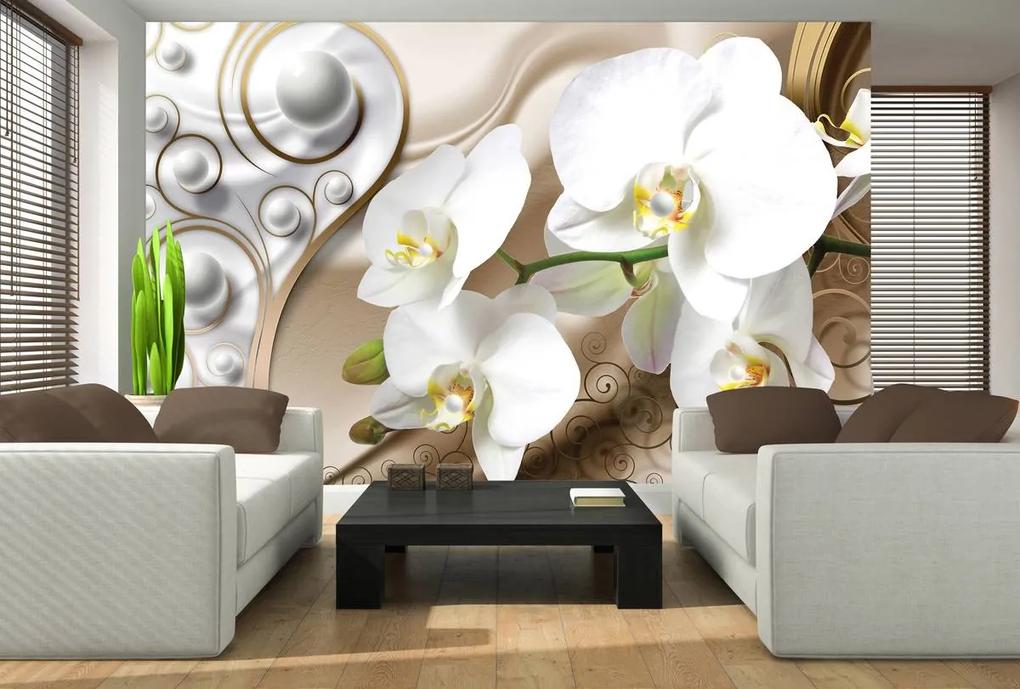 Fototapeta - Biela orchidea (254x184 cm)