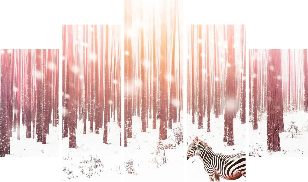 Obraz - Zebra v zasneženom lese (150x105 cm)