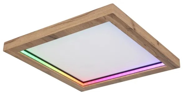 Globo 41374-24 - LED RGBW Stmievateľné stropné svietidlo BRANZA LED/24W/230V + DO