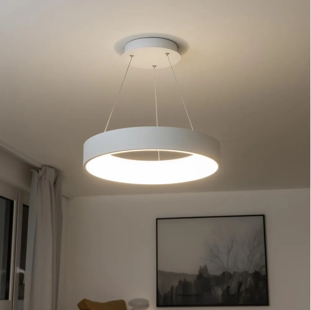 Brilagi - LED stmievateľný závesný luster na lankách LED/40W/230V 3000-6500K biela + DO