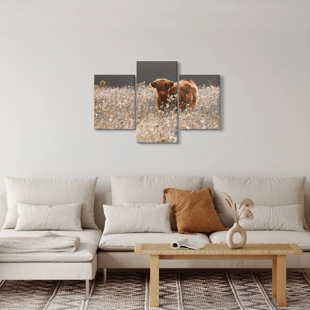 Obraz - Škótska krava v kvete (90x60 cm)